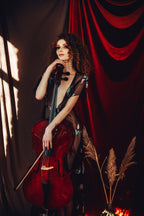 The Red Cello Poster och Canvastavla