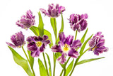 Vibrant Spring Poster och Canvastavla