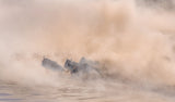 Great migration (crossing river) Poster och Canvastavla