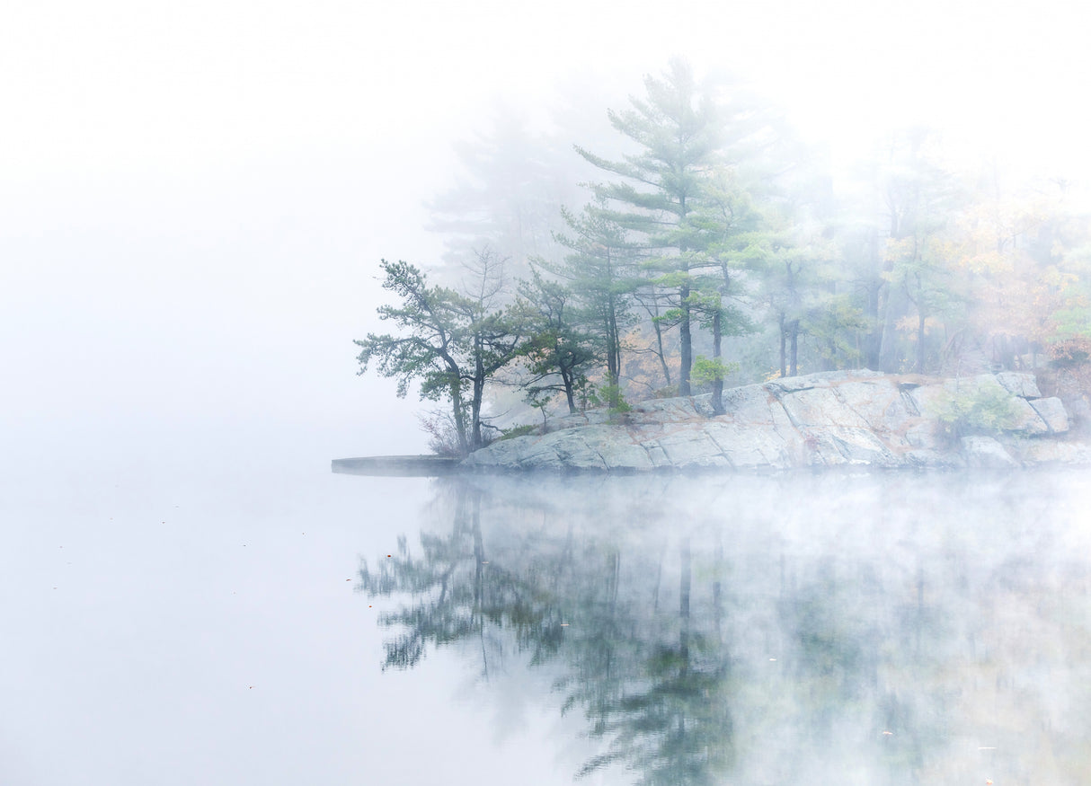 Autumn fog Poster och Canvastavla