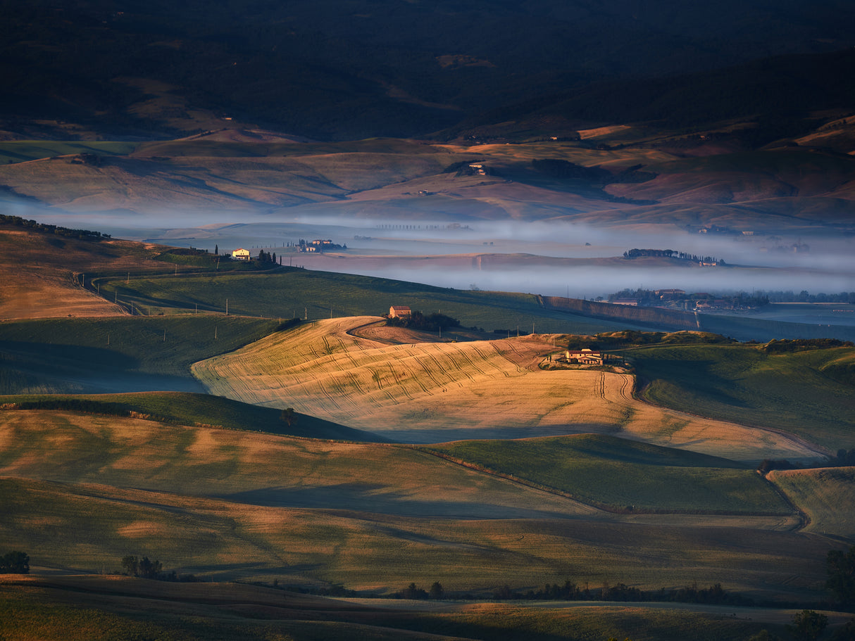 Toscana amore mio Poster och Canvastavla