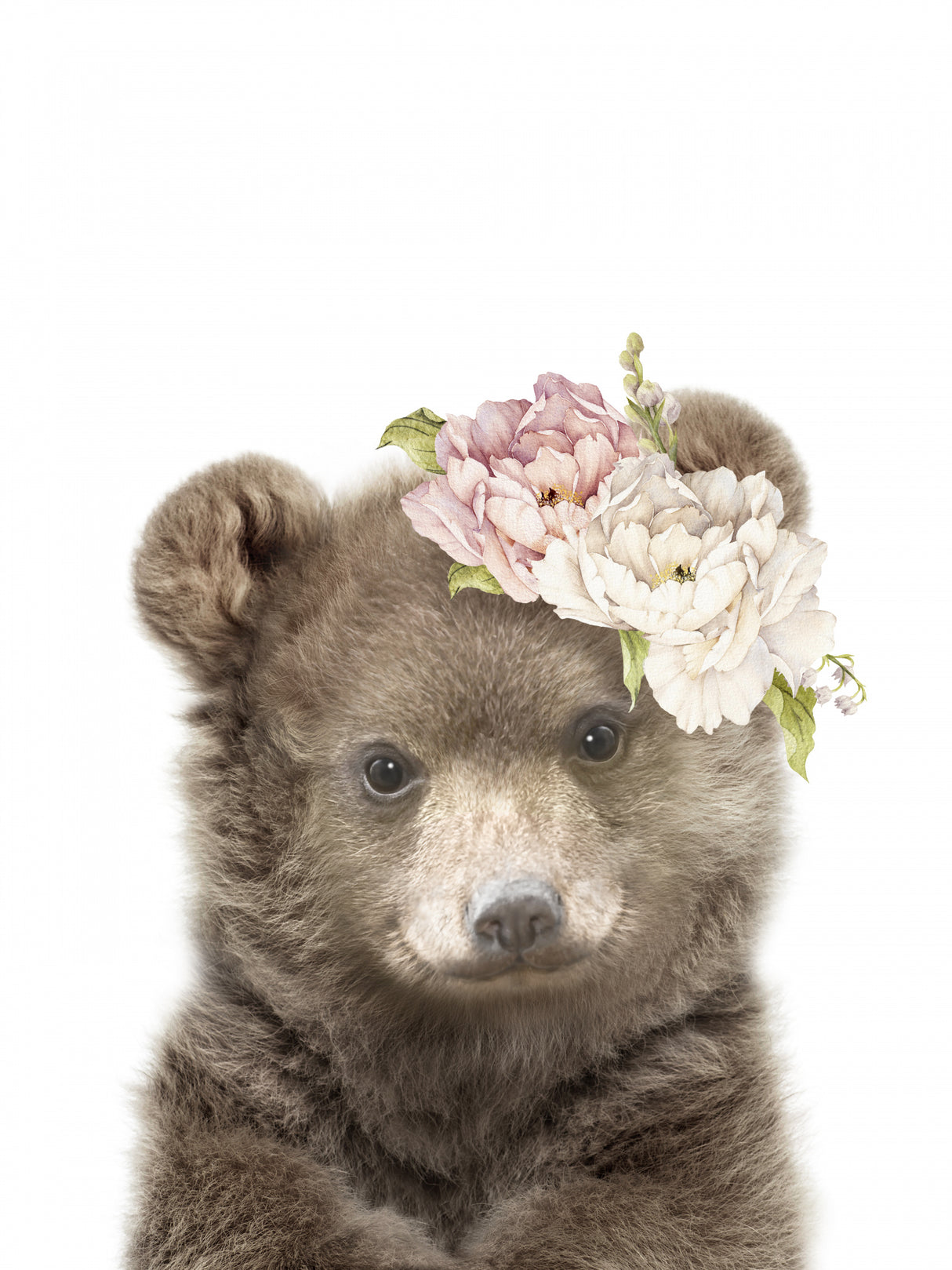Floral Baby Bear Poster och Canvastavla