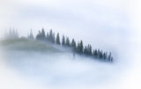 Dissolving in the fog Poster och Canvastavla