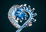 HEART Poster och Canvastavla