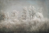 Cold morning Poster och Canvastavla