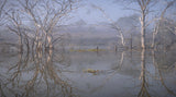 Morning reflections Poster och Canvastavla