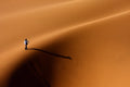 The golden light and long shadows Poster och Canvastavla
