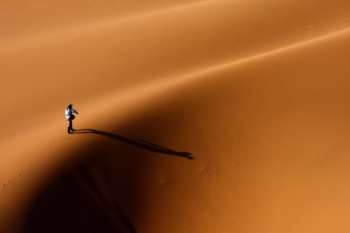 The golden light and long shadows Poster och Canvastavla
