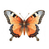 Butterfly 2 Poster och Canvastavla