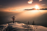 Greeting to the Sun Poster och Canvastavla