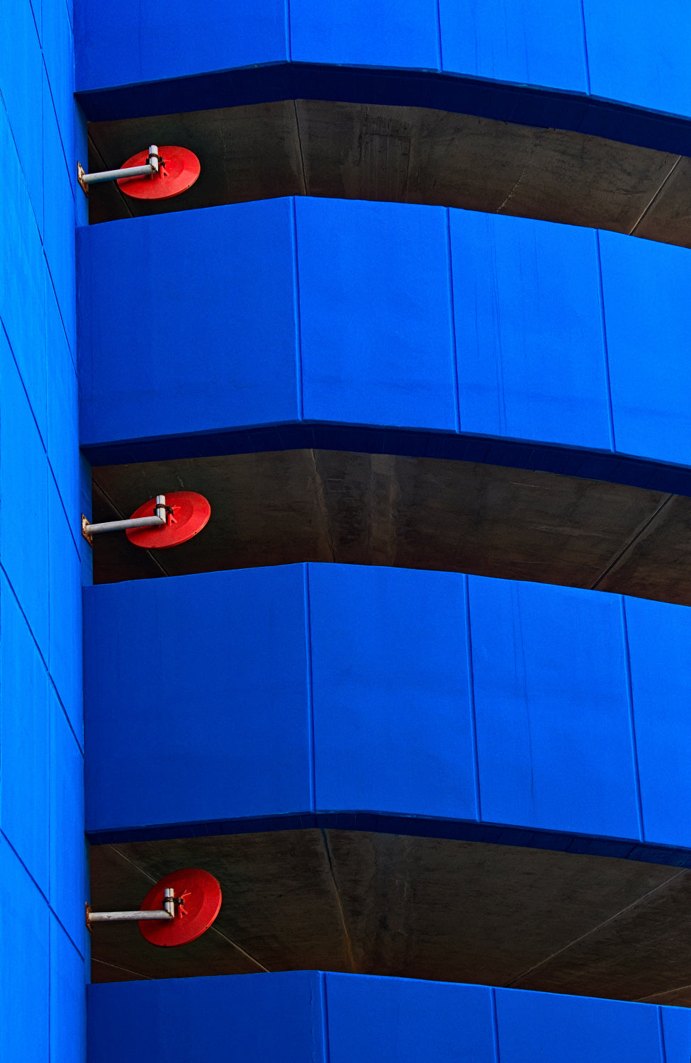 Peeping Red Poster och Canvastavla