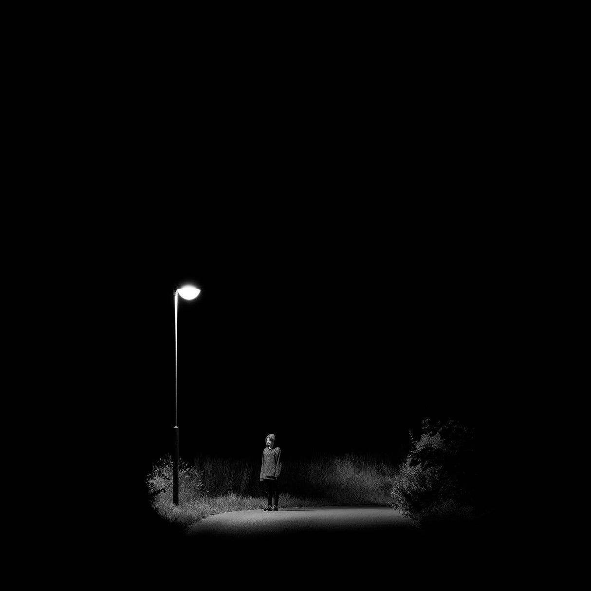Night stories No. 1 Poster och Canvastavla