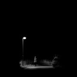 Night stories No. 1 Poster och Canvastavla