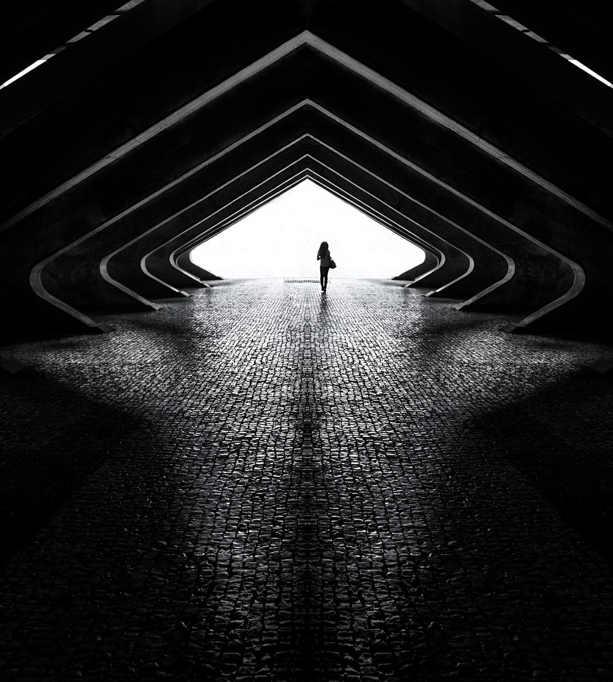 Into the light Poster och Canvastavla
