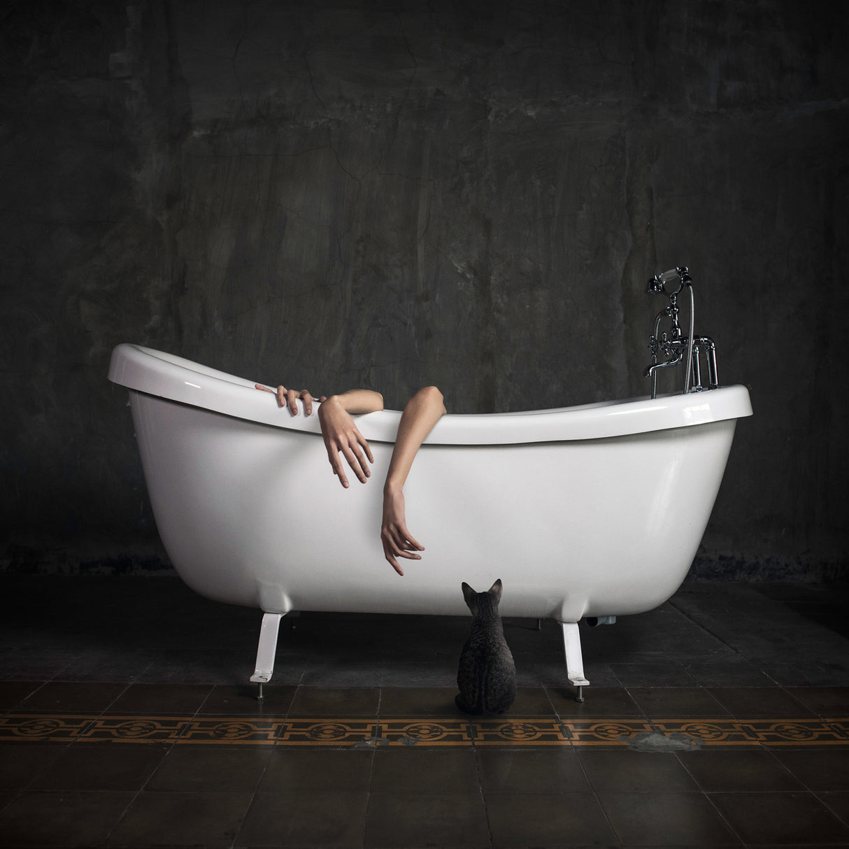 Bathroom Stories I Poster och Canvastavla