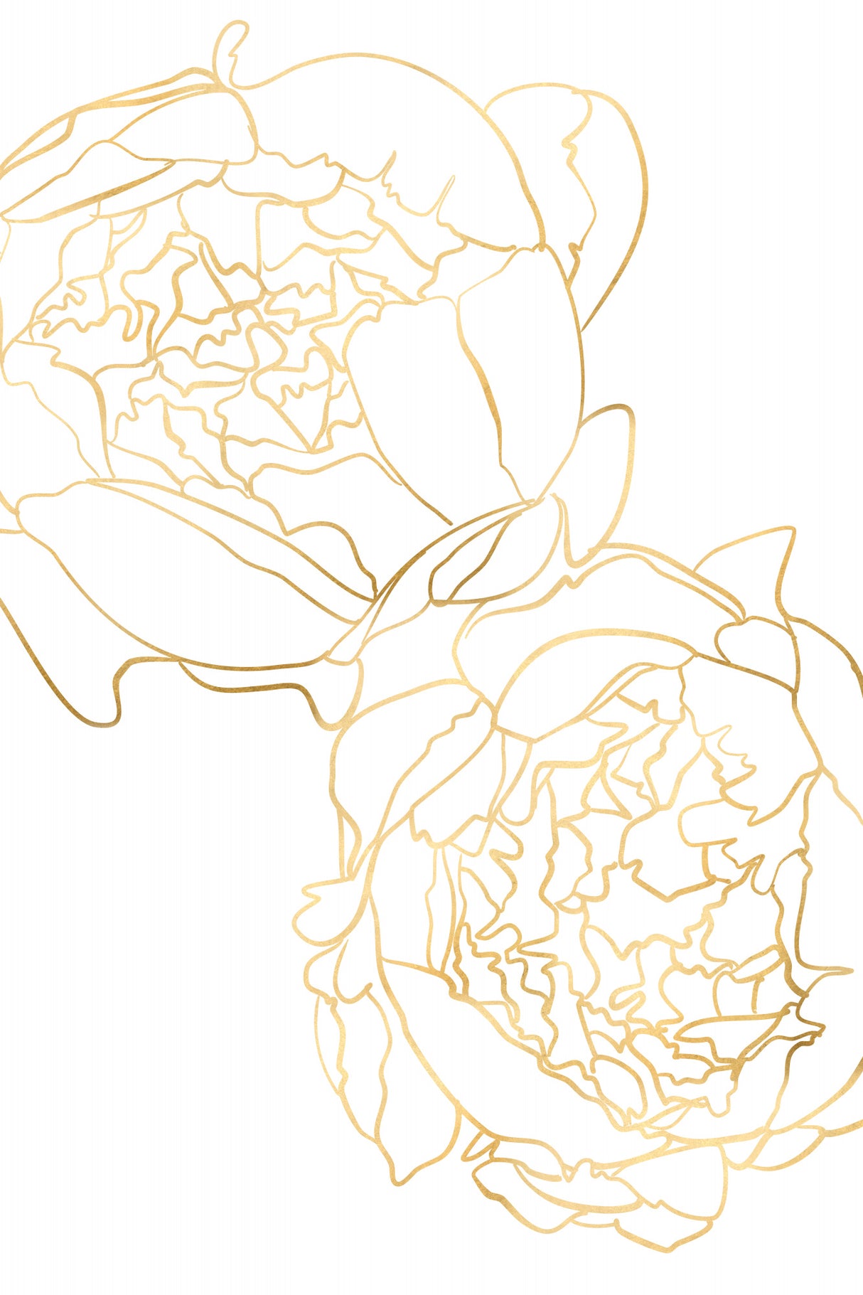 Sally's peonies in gold Poster och Canvastavla