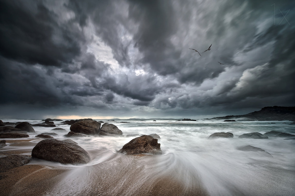 Flight over Troubled Waters Poster och Canvastavla