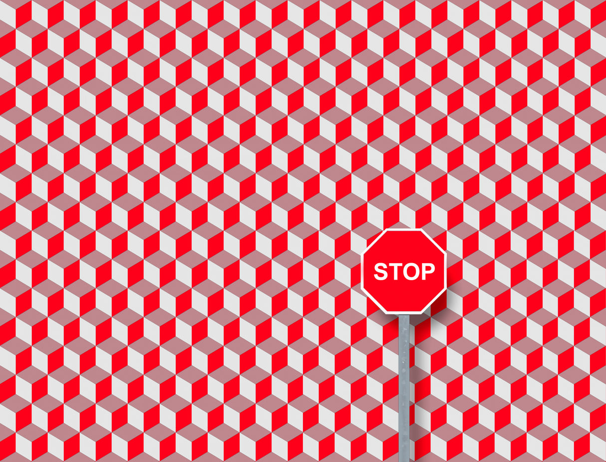 Polygons Poster och Canvastavla