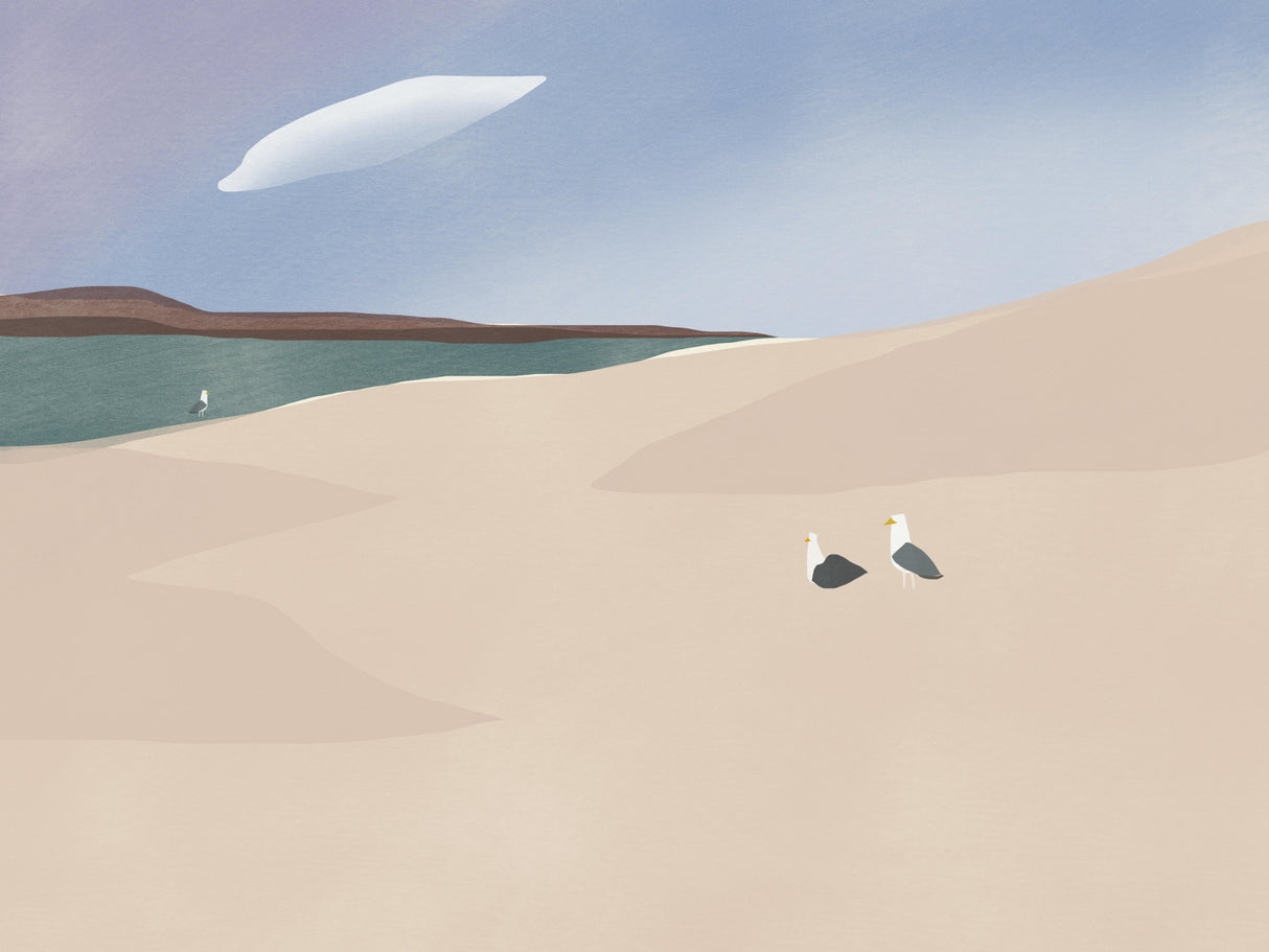 Seagull Family Poster och Canvastavla