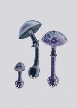 Amanita Muscaria  White Backgound Purple Poster och Canvastavla