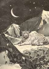Giant White Tiger Poster och Canvastavla