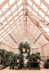 Grow House Poster och Canvastavla