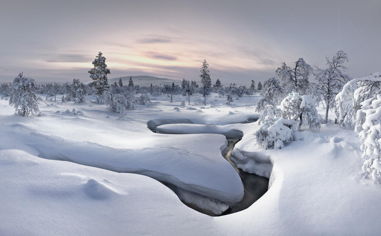 Kiilop&auml;&auml; - Lapland Poster och Canvastavla