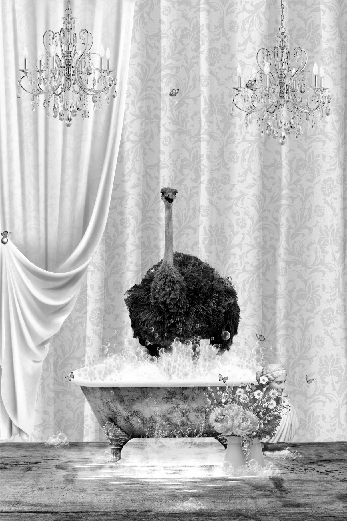 Ostrich &amp; Bubbles Black &amp; White Poster och Canvastavla