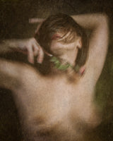 the rose Poster och Canvastavla