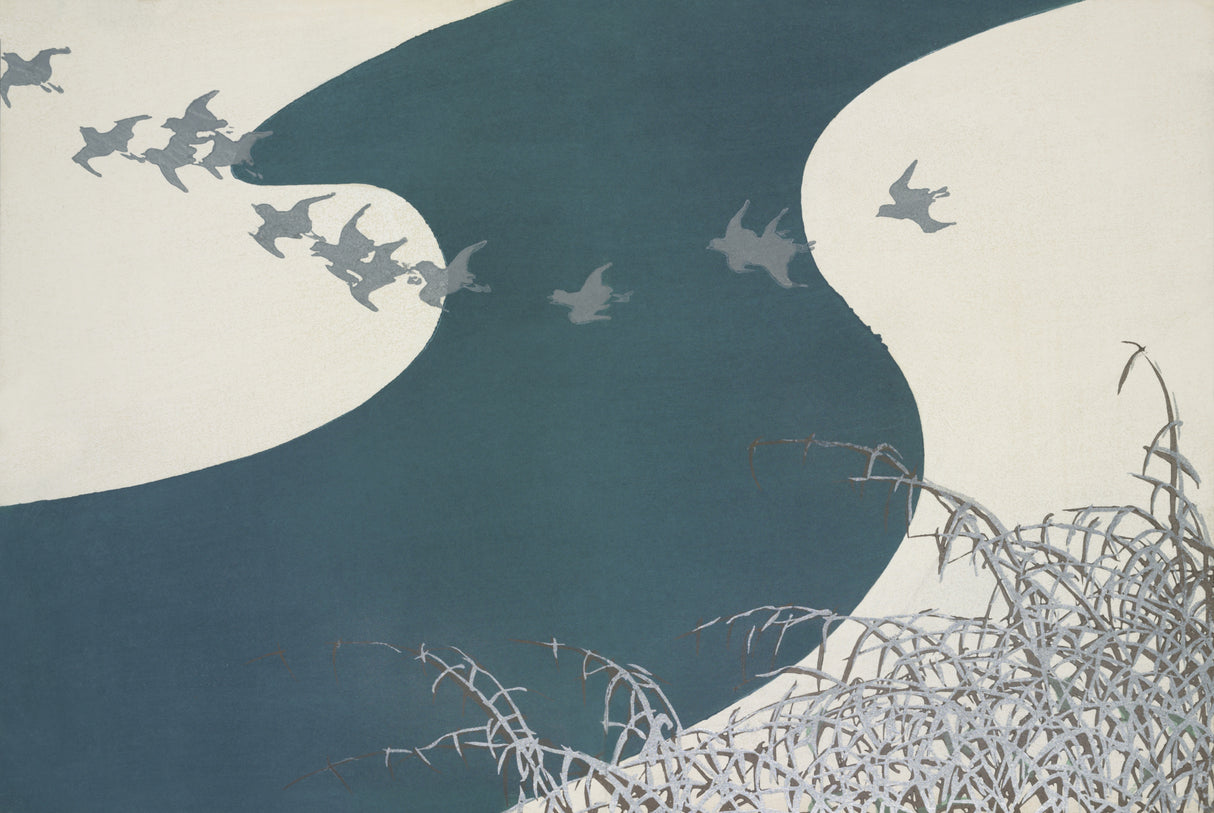 Birds From Momoyogusa Poster och Canvastavla