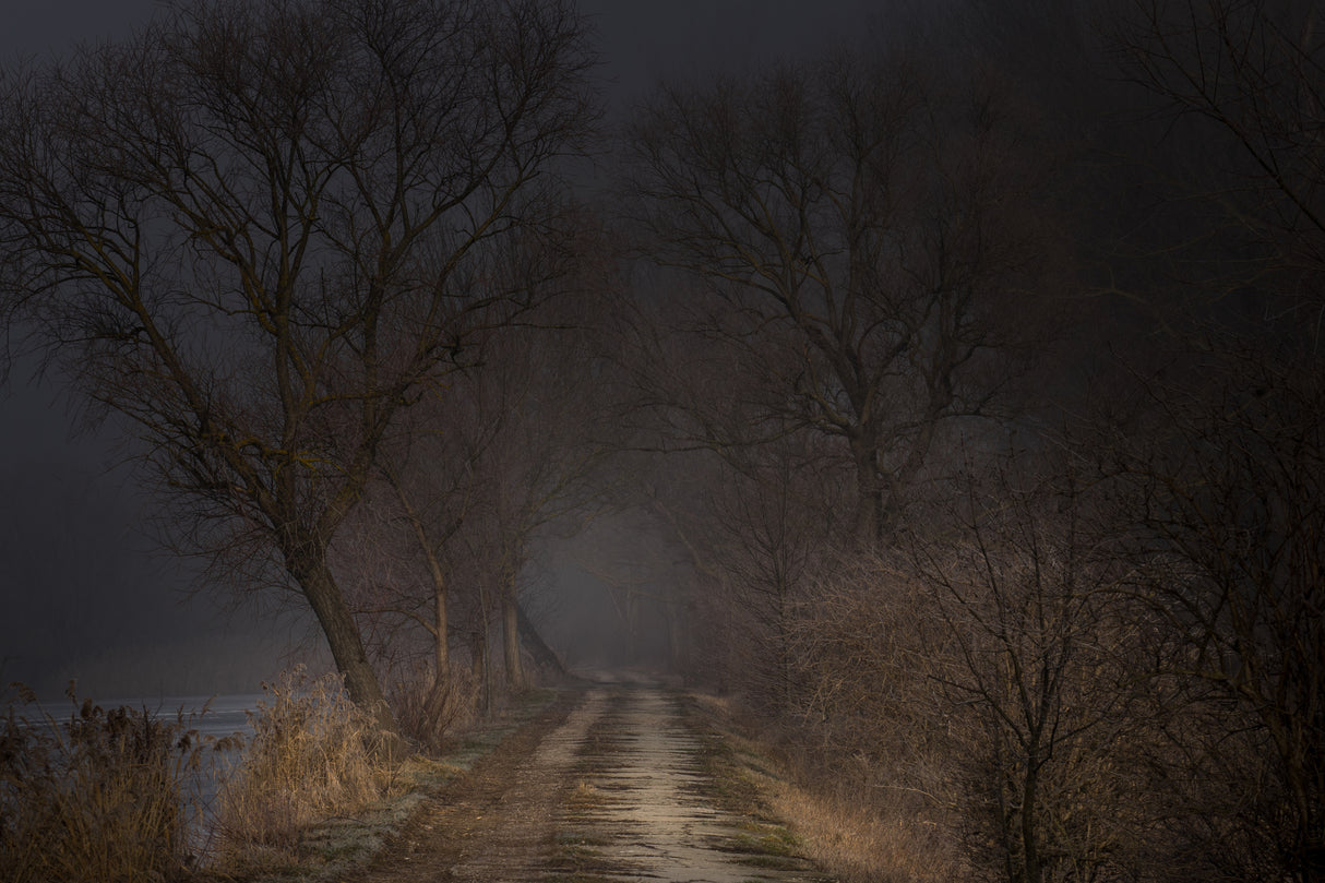 Road to nowhere Poster och Canvastavla
