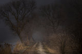 Road to nowhere Poster och Canvastavla