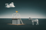 Zebra style Poster och Canvastavla