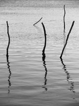 Reflect Poster och Canvastavla