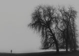 A Monster calls Poster och Canvastavla