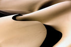 line and Curve Poster och Canvastavla