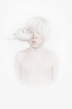 My blow fish Poster och Canvastavla