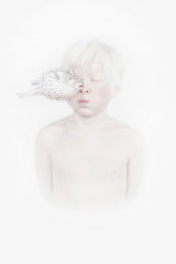 My blow fish Poster och Canvastavla