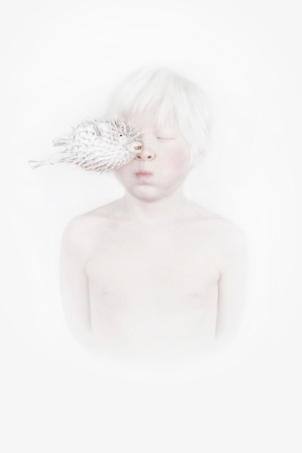 My blow fish Poster och Canvastavla