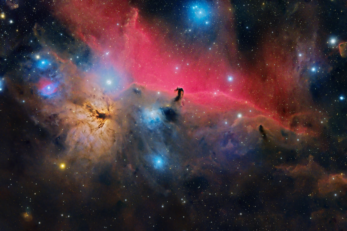 Horsehead Nebula Poster och Canvastavla