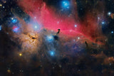 Horsehead Nebula Poster och Canvastavla