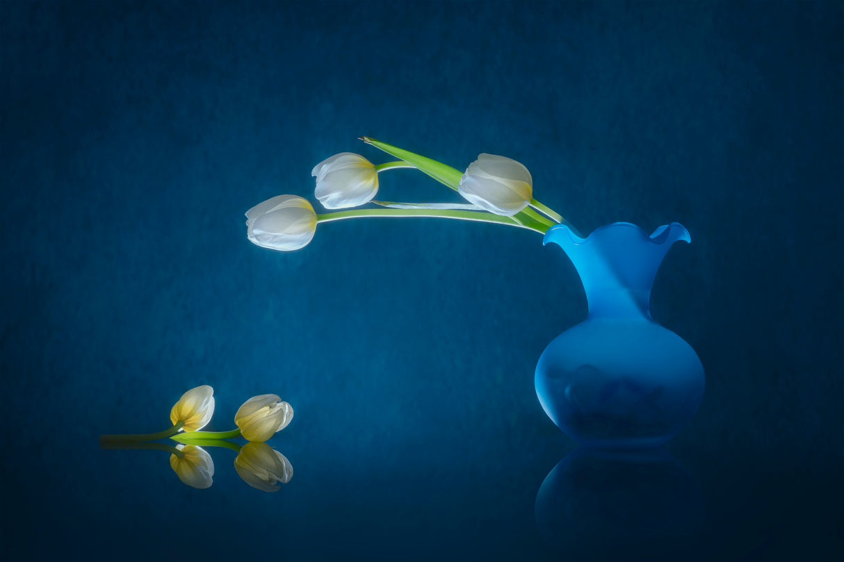 Talking Tulips Poster och Canvastavla