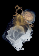 Specimen I Poster och Canvastavla