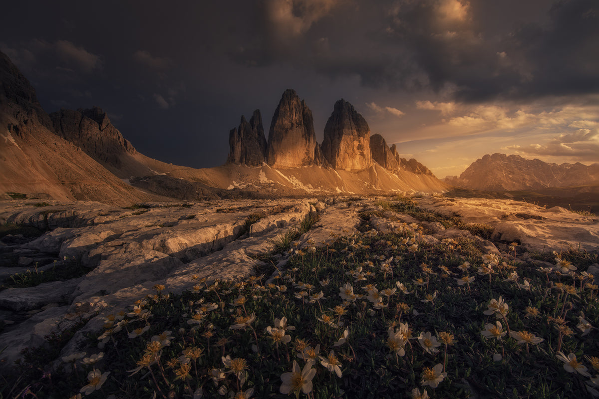 Tre Cime, Dolomites Poster och Canvastavla