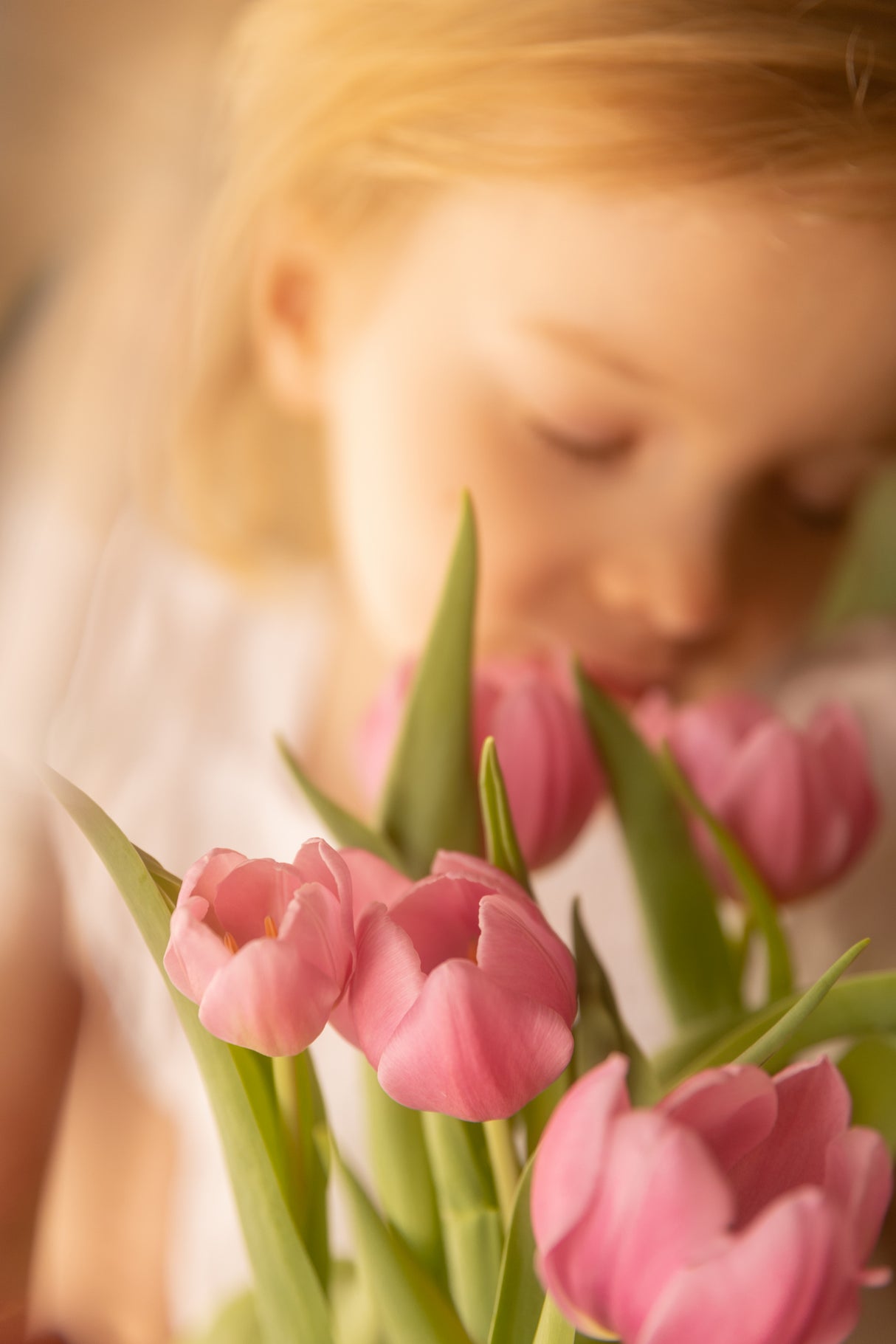Spring is near Poster och Canvastavla