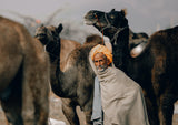 Pushkar streets Poster och Canvastavla