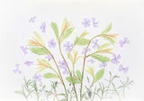 Spring Memory Poster och Canvastavla