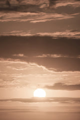Liquid Sunshine Poster och Canvastavla