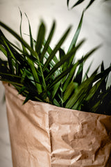 Palms &amp; Craft Paper Poster och Canvastavla