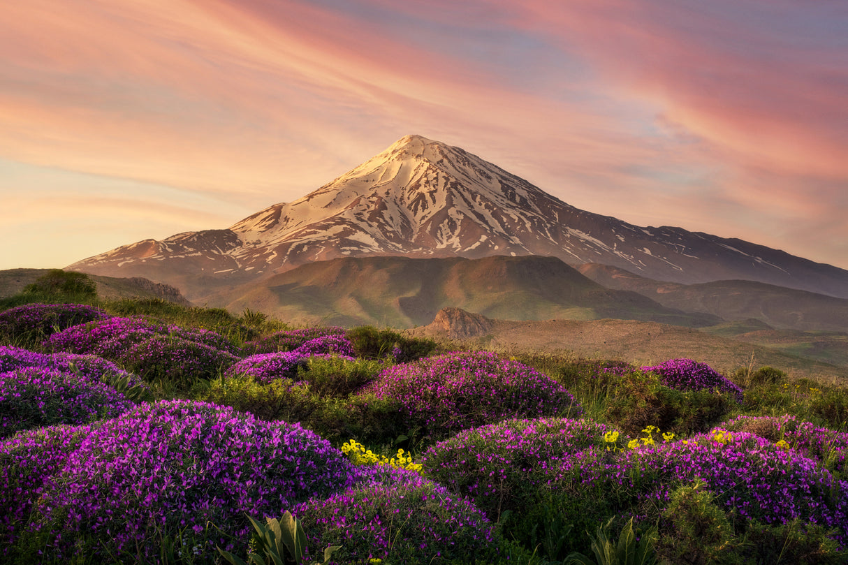 Damavand Poster och Canvastavla